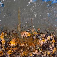 obra 2025, 100x100cm, 1600&euro;